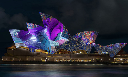 VIVID 26 OperaMundi